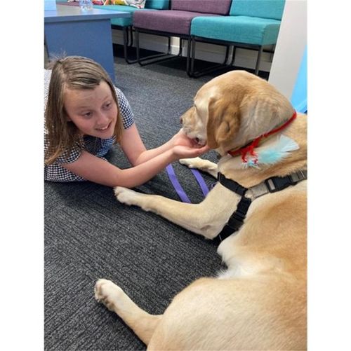 Connected through the language of play at MacKillop Family Services